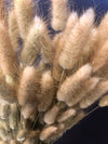 Bunny Tail - 100 Natural // Preserved Dried & Bleached Bunny Tail Boho Wedding Flowers // Dried Flowers // Home Decor - CaliforniaFlowerGrowers.com